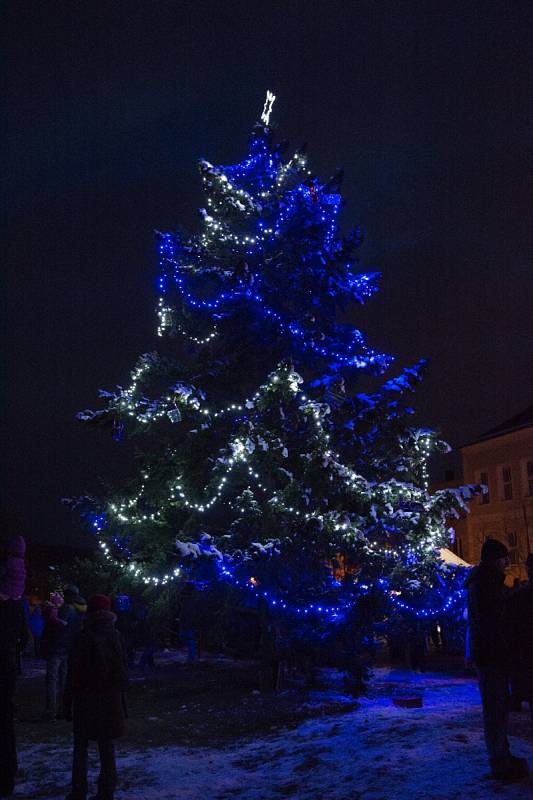 11. V Rudolfově svítí vánoční strom na Farské louce, hned vedle kostela sv. Víta. Fotografie ukazuje vánoční strom při jeho rozsvícení.Foto: Daniel Veselý