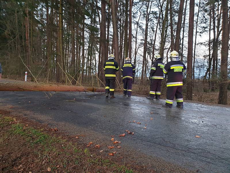 Hasiči zasahovali u popadaných stromů přes cestu v Dolním Bukovsku.