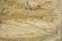 Šikmé vrstvy písku vzniklé na břehu Lužnice ve starších čtvrtohorách (pleistocénu), pískovna Cep II na Třeboňsku.