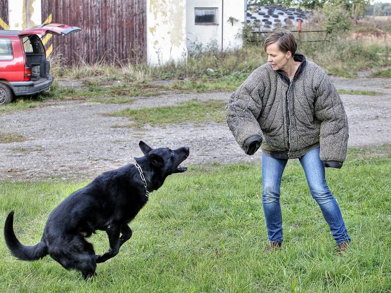 V kůži zločince na útěku. Kousnutí zabolí i přes rukáv, jaké je to naživo si raději nepředstavuji.