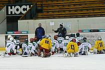 Soustředění krajského výběru hráčů ročníku 2002 vedli v Táboře trenéři Arpád Györi z HC Tábor a Roman Fousek z Českobudějovických Lvů. 