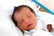 Pátého potomka přivedla 20. 11. 2018 na svět Veronika Fuitová ze Zvíkova u Lišova. Stal se jím chlapeček se jménem Martin Fuit. Narodil se v 11.10 h. a vážil 3,28 kg.