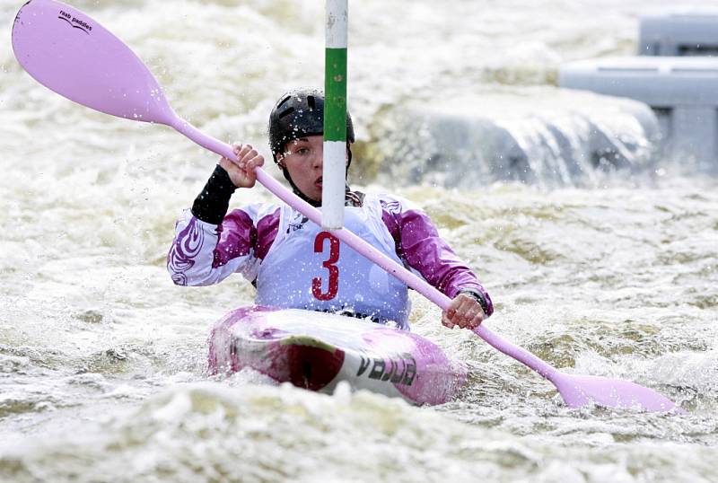 Český pohár vodních slalomářů, nominační závod vodních slalomářů o účast na olympijských hrách v Londýně 21. dubna v areálu Lídy Polesné v Českém Vrbném u Českých Budějovic.