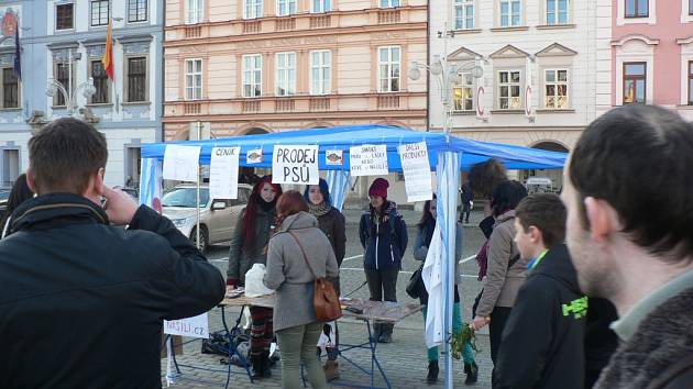 Na náměstí v Českých Budějovicích se uskutečnila protestní akce.