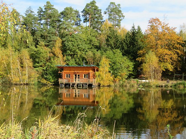 Nedaleko Višňové lzenajít jedinečné dřevěné stavby. Ubytování v plovoucím srubu, či stromovém domě lze spojit i s rybařením.