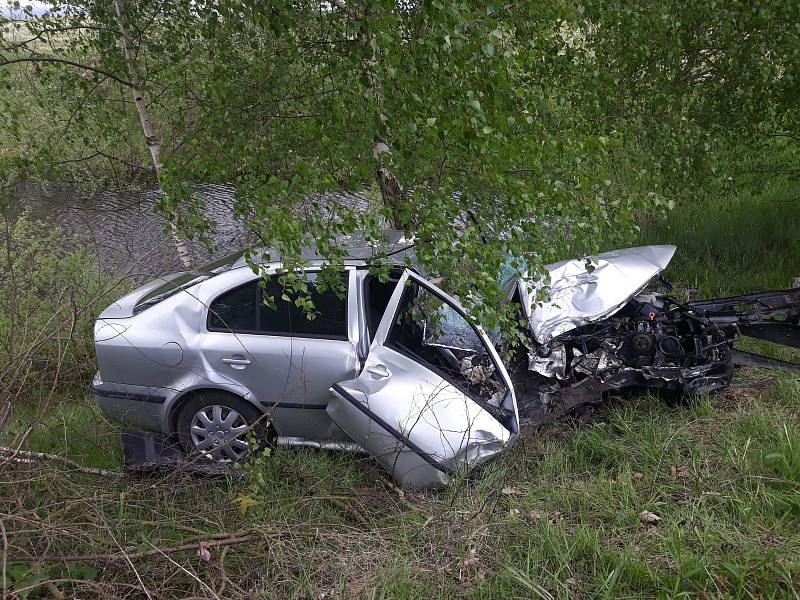 Řidič ujel 460 metrů po louce, než narazil do stromu.