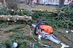 Zlomený kmen vánočního stromu v Lišově.