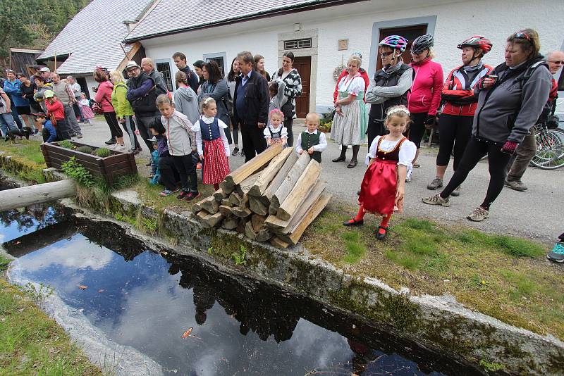 Dvacátý druhý ročník plavení dříví na Schwarzenberském kanálu na Jeleních vrších byl plný hudby, tance. Plavební ředitel Hynek Hladík dostal k červnovým 70. narozeninám dřevěnou sochu plavce Hynka, která stojí naproti Expozici Schwarzenberského kanálu.