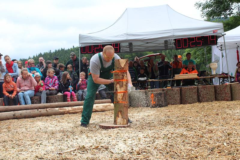 Soutěže v dřevorubeckých disciplínach přilákaly na Hojnou Vodu desítky soutěžících z blízkého okolí í vzdálenějších míst. S pilami, sekerami, špalky a polínky se tu oháněli nejen muži, ale i řada žen a dětí.