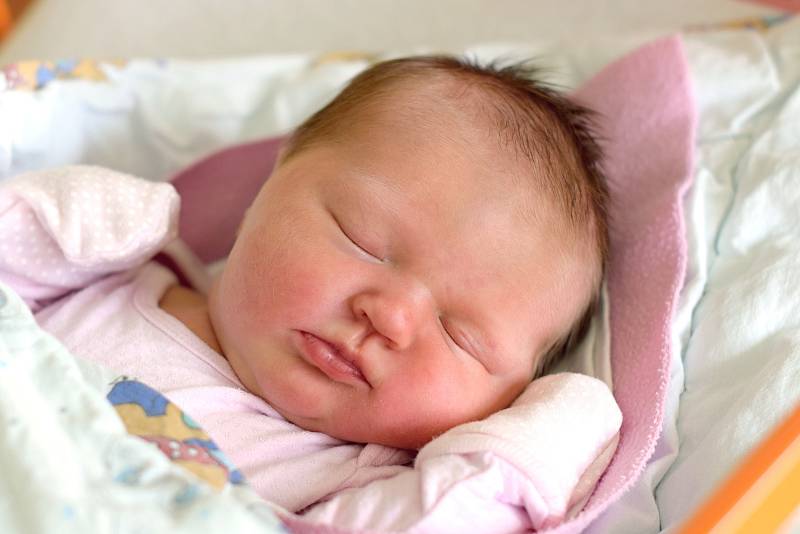 Do Netolic odjela s maminkou Annou Čurdovou novorozená Anna Machová. Narodila se 19. 10. 2019 v 16.43 h. Váha po porodu ukazovala 4,22 kg.