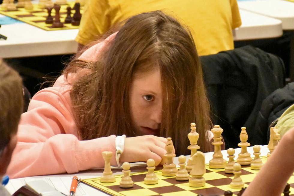 Českobudějovický deník | Do turnaje Šachové akademie VŠTE se zapojilo 339  hráčů | fotogalerie