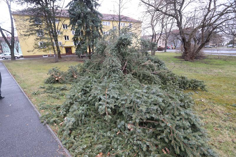 Extrémně silný vítr v Českých Budějovicích na Pražském předměstí vyvrátil stromy.