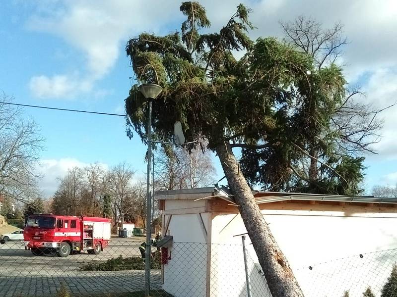 Zásah hasičů při nedělní vichřici v Českých Budějovicích, kde spadl strom na domek.