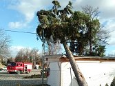 Zásah hasičů při lednové vichřici v Českých Budějovicích, kde spadl strom na domek.