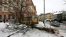 Autobus městské hromadné dopravy narazil 28. března ráno v centru Českých Budějovic do budovy pošty. Nehoda se stala na Senovážném náměstí, vůz porazil semafor, projel parkem a následně narazil do budovy. Řidič autobusu utrpěl nespecifikované zranění.