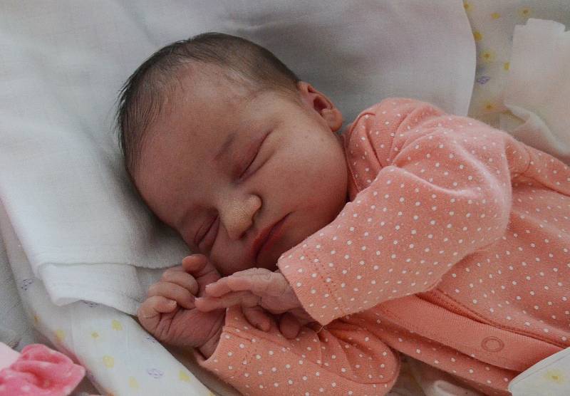 Natálie Bromová z Písku. Prvorozená dcera Markéty Dobrovodské a Josefa Broma přišla na svět 10. 1. 2022 v 1.36 h. Váha po porodu ukazovala 3,95 kg.