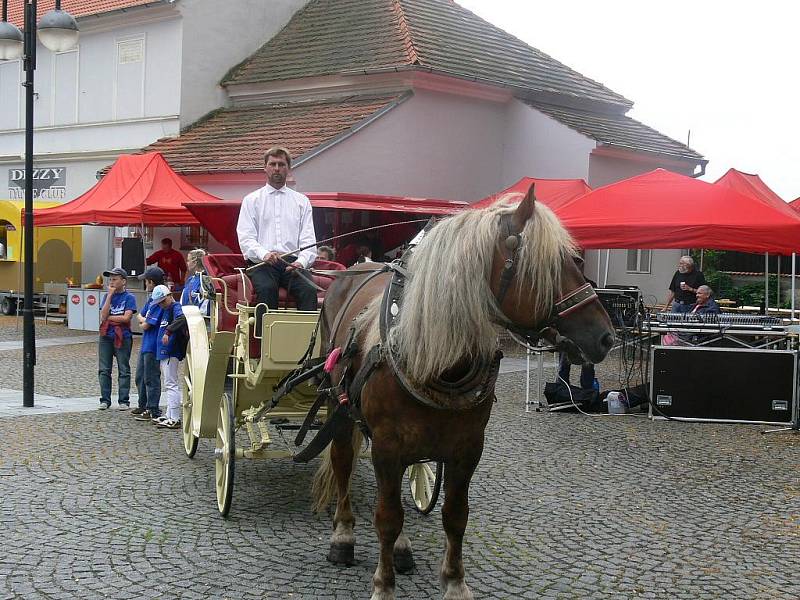 4. ročník Jihočeských slavností vína se konal v sobotu 19. září v Hluboké nad Vltavou