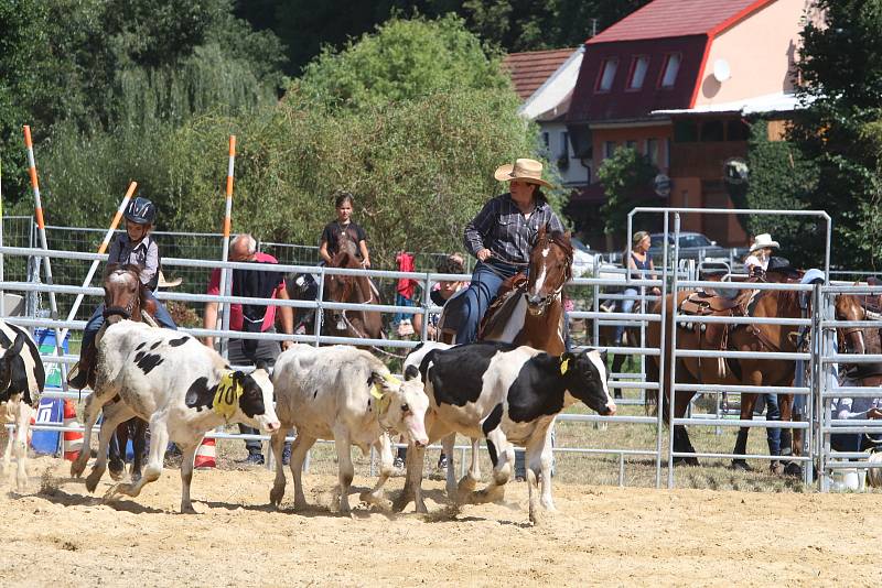 Boršovské slavnosti v kempu Poslední štace v Boršově nad Vltavou.