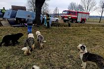 Hasiči naháněli psy z havarované dodávky po polích.