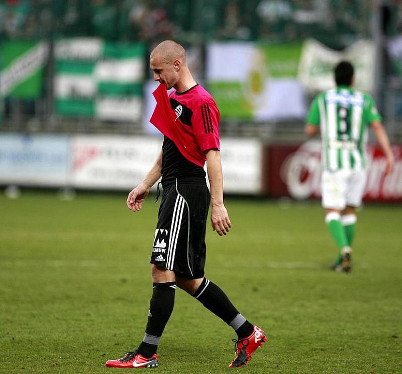 Utkání 20.kola Gambrinus ligy mezi celky SK Dynamo České Budějovice a Bohemians 1905.