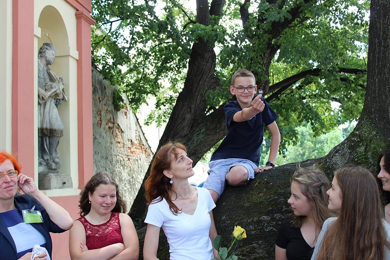 Nominovaným stromem v anketě Strom roku je ve finále českobudějovická lípa, která se vyjímá u slepého ramene řeky Malše.