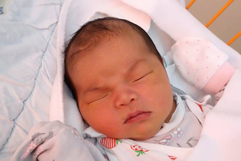 Miminko Nguyen Bao Anh se v českobudějovické nemocnici narodilo 11. 12. 2017 ve  12.35 h. Novorozenec vážil rovné čtyři kilogramy. Maminka Pham Thi Phuong Thao jej vychová v Českých Budějovicích.