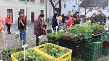 Farmářský trh na Piaristickém náměstí v Českých Budějovicích je opět otevřen.