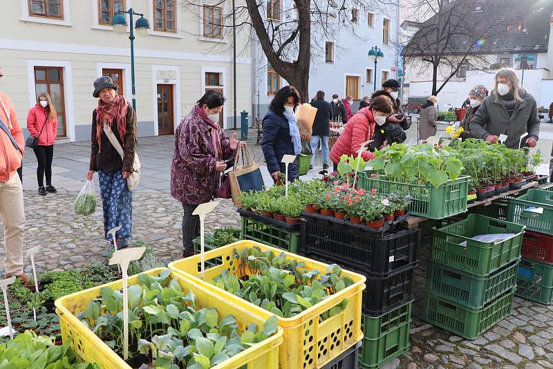 Farmářský trh na Piaristickém náměstí v Českých Budějovicích je opět otevřen.