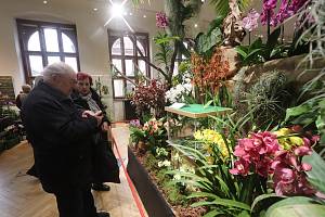 Orchideje v Jihočeském muzeu