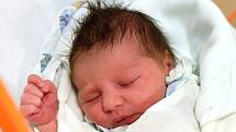 V Českých Velenicích bude s dvěma staršími sourozenci vyrůstat novorozený Daniel Horvát. Maminka Marie Prinzová jej porodila 20. 11. 2019 v 0.46 h., vážil 3,23 kg.