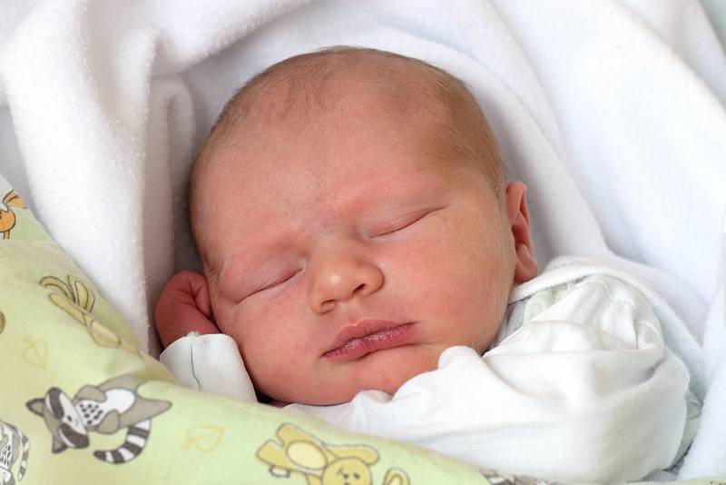 Nela a Ondřej Plojharovi jsou rodiči novorozené Elly Plojharové. Narodila se jim 10. 9. 2019 ve 2.38 h., vážila 3,20 kg. Poznávat svět bude v Českých Budějovicích.