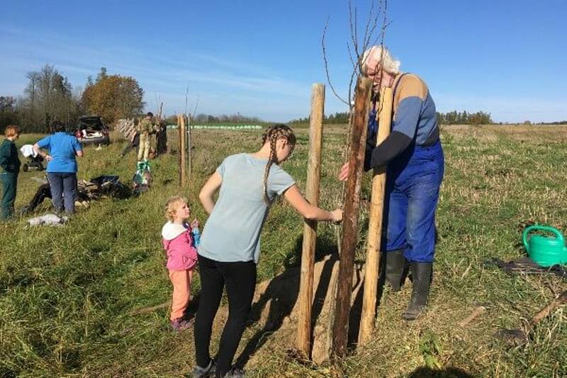 Dobrovolníci pracují, aby podpořili komunitní život ve svých obcí. Tak je to mu i ve Svatém Janu nad Malší, kde vysadili stromořadí.