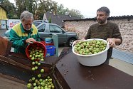 Začala sezona výkupu padaných jablek v Mladém na náměstí Maxe Švabinského.