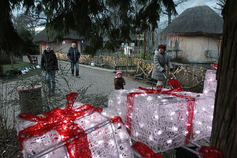 Svátečně nasvícená zoo láká v těchto dnech do Hluboké nad Vltavou stovky lidí.