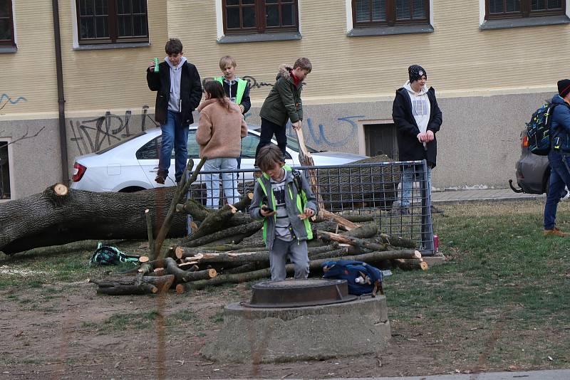 Kácení a prořezávání v parku Dukelská v Českých Budějovicích.