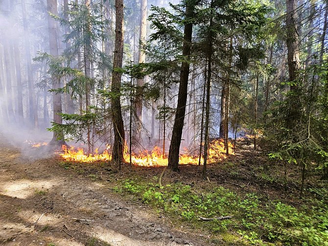 Hasiči zasahovali v lese u Bohunic, kde byl vyhlášen II. stupeň požárního poplachu.
