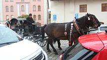 Pohřební kočár s dvěma koňmi projíždí centrem města.