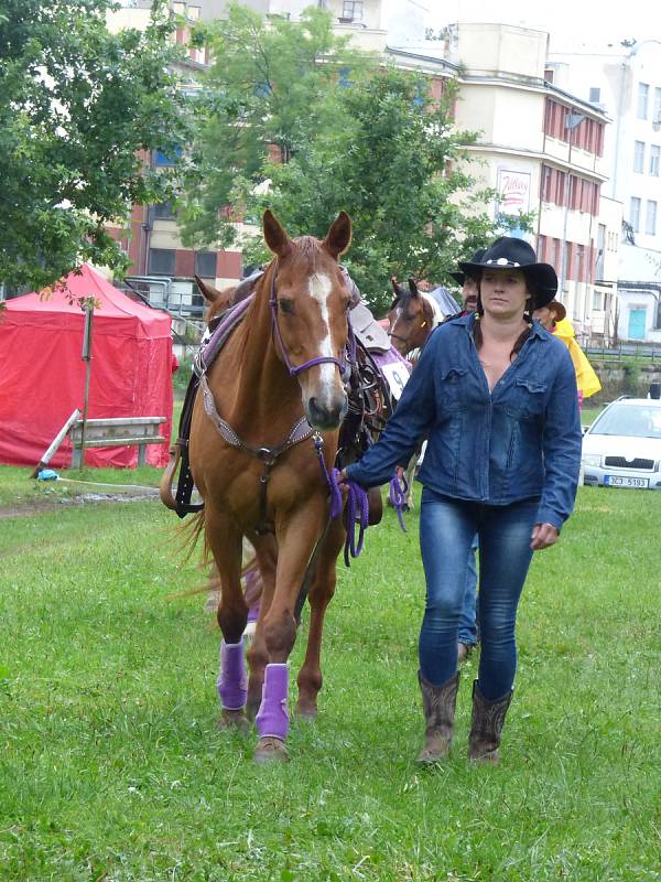 V kempu Poslední štace v Boršově nad Vltavou se v sobotu uskutečnilo Mistrovství České republiky v rodeu.