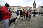 Na českobudějovickém náměstí Přemysla Otakara II. se v sobotu od 14 hodin demonstrovalo proti zpřísněným epidemiologickým opatřením.