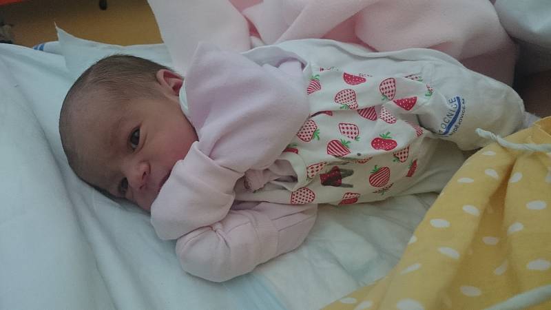 Prvorozenou dceru Magdalénu Hejmanovou přivítali 26. 12. 2018 na světě manželé Kateřina a Martin Hejmanovi z Trhových Svinů. Na svět přišla ve 21.15 h., vážila 2,86 kg.