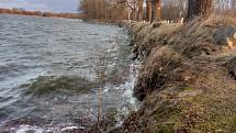 Vítr v neděli dopoledne 30. ledna 2022 na jihu Čech komplikoval například dopravu. I Munický rybník u Hluboké nad Vltavou zvlnil vítr.