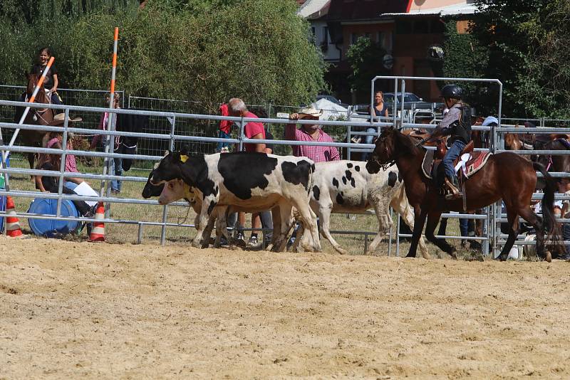 Boršovské slavnosti v kempu Poslední štace v Boršově nad Vltavou.