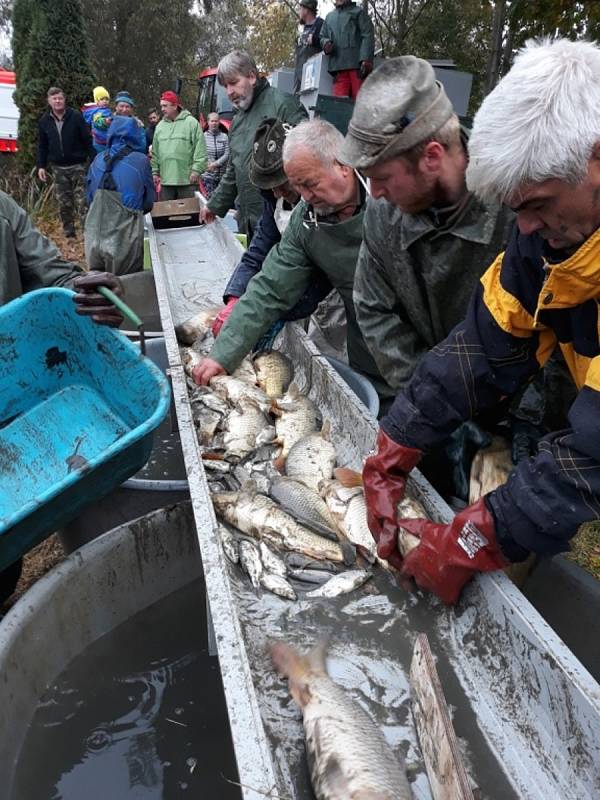 Ledeničtí rybáři v akci. K náplni roku u nich patří výlovy nebo akce pro mládež i další veřejnost.
