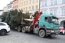 Transport vánočního stromu na českobudějovickém náměstí Přemysla Otakara II.