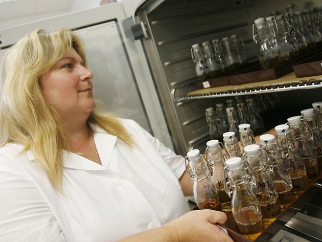 Laborantka Renata Jirková vkládá vzorky odkapových vod do inkubátoru. Jde o to zjistit, zda jsou všechny vypláchnuté trubky a nádoby na pivo absolutně čisté.