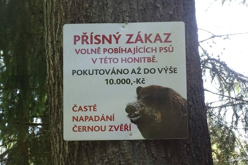 Vtipné cedule, nápisy i varování číhají na každém kroku. V jižních Čechách o ně také není nouze.