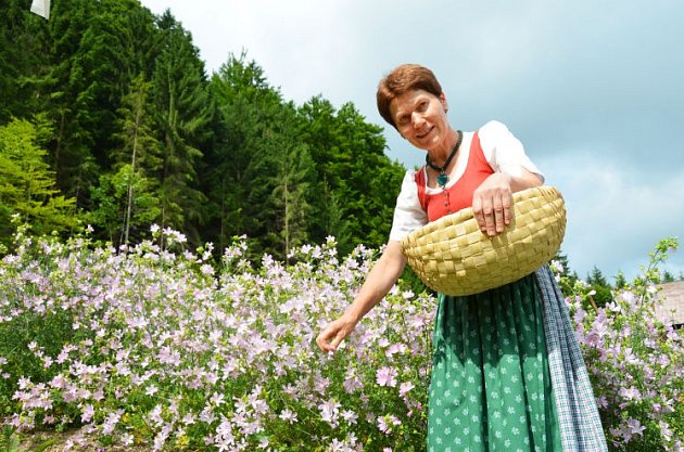 Zvolni a poznej příroduu sousedů…