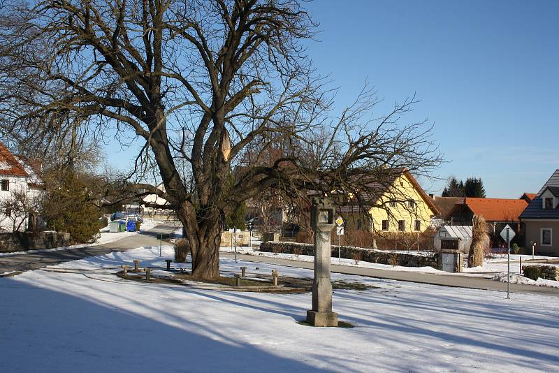 Zima v podhůří Novohradských hor. Zatímco v nižších polohách Budějovicka není po sněhu ani památky, v podhůří Novohradských hor se stále drží.