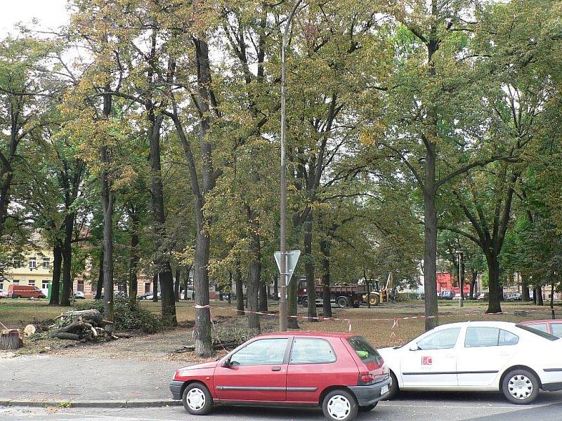 Palackého náměstí v Českých Budějovicích čeká proměna. Dostane novou zeleň, chodníky nebo lavičky. Práce už začaly.
