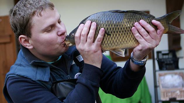  Pozitivní vliv na zdraví kapra s omega 3 mastnými kyselinami prokázal dvouletý výzkum.